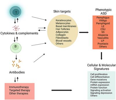 Frontiers | Editorial: Mechanism And Therapy Of Autoimmune Skin Diseases